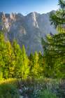 Slovenia, Triglav National Park. Landscape with forest and Julian Alps. Art Print